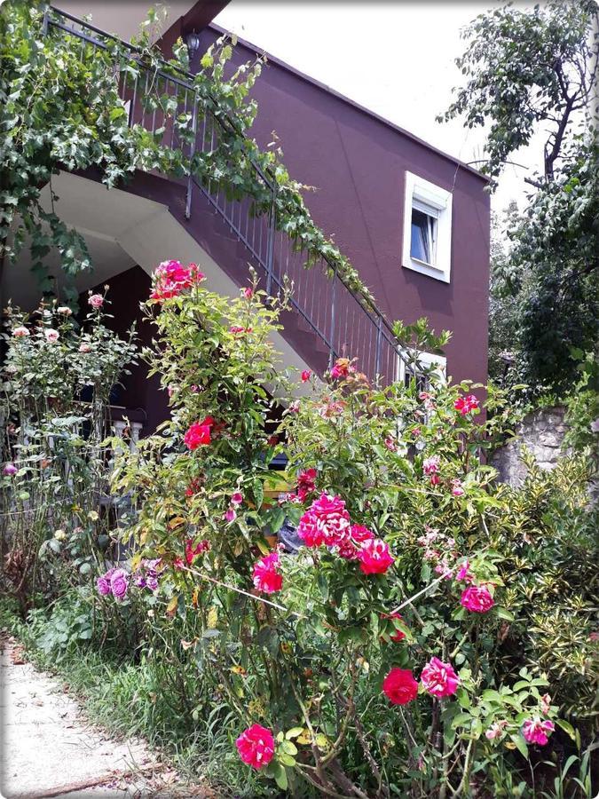 Apartmani Labovic بودفا المظهر الخارجي الصورة
